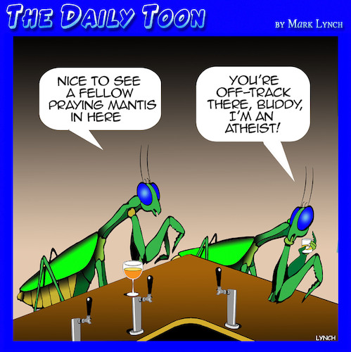 Cartoon: Atheists (medium) by toons tagged praying,mantis,prayer,insects,atheism,praying,mantis,prayer,insects,atheism