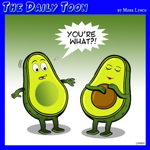 Cartoon: Avocado (medium) by toons tagged pregnant,avocado,seed,babies,fruit,pregnant,avocado,seed,babies,fruit