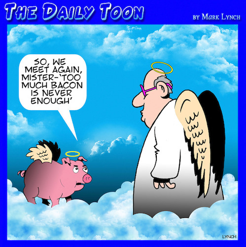 Bacon Bacon