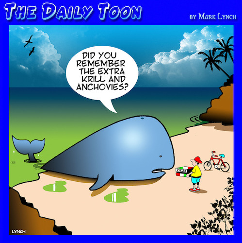 Beached whale Beached whale