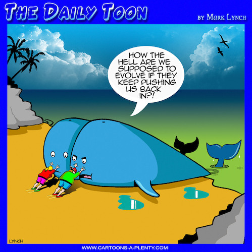 Beached whales Beached whales