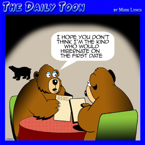 Bears Bears