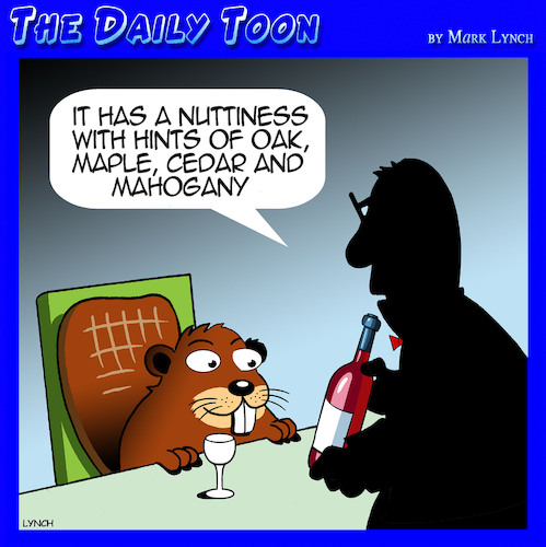 Cartoon: Beaver (medium) by toons tagged beavers,wine,aromas,drinker,beavers,wine,aromas,drinker