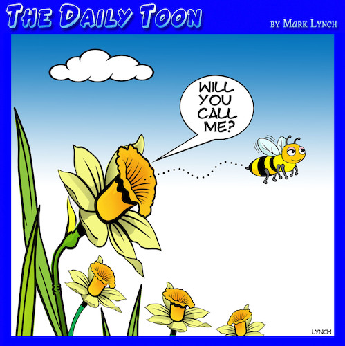 Birds and the bees Birds and the bees