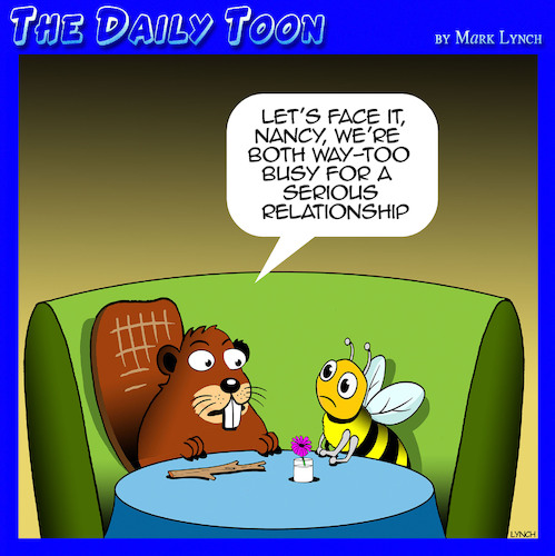 Cartoon: Busy as a beaver (medium) by toons tagged beaver,bees,busy,relationships,beaver,bees,busy,relationships