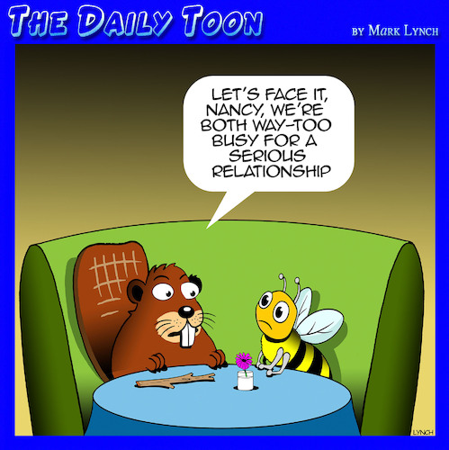 Busy as a beaver Busy as a beaver