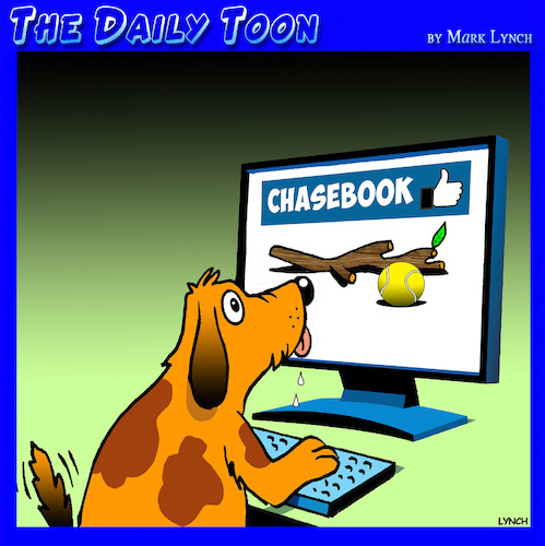 Chasebook Chasebook