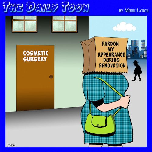 Cosmetic surgery Cosmetic surgery