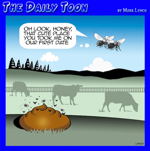 Cartoon: Cow pat (medium) by toons tagged flies,poo,romantic,restaurants,first,date,flies,poo,romantic,restaurants,first,date