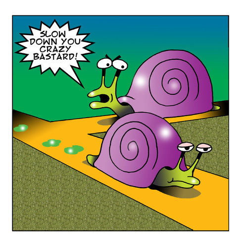 Cartoon: Crazy Bastard (medium) by toons tagged road,rage,snails,slugs,anger,management,speed,limits,driving,temper