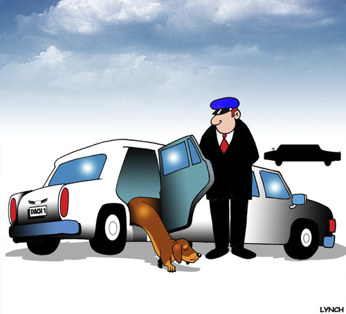 Dachshund limo Dachshund limo