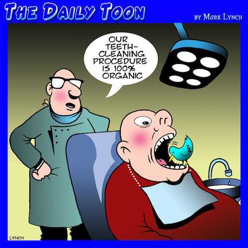 Dentists Dentists