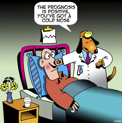 Cartoon: Doctor Dog (medium) by toons tagged cold,noses,health,hospitals,prognosis,checkup,remission,animals,dogs,talking,cold,noses,health,hospitals,prognosis,checkup,remission,animals,dogs,talking
