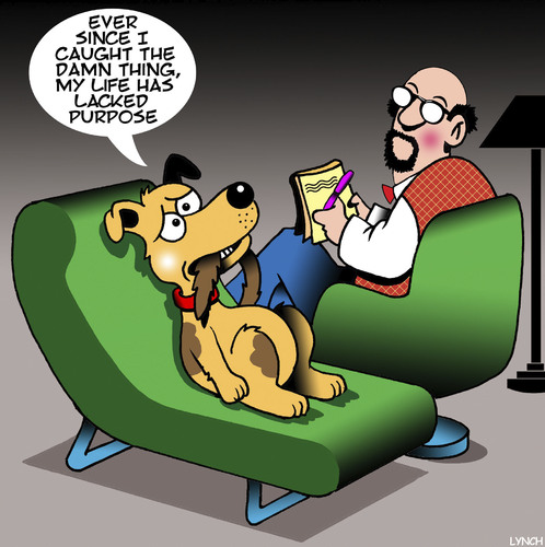 Dog chasing tail By toons | Philosophy Cartoon | TOONPOOL