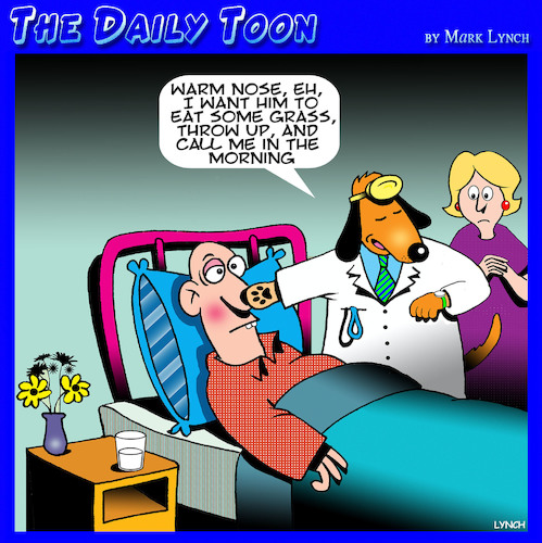 Dog doctor Dog doctor