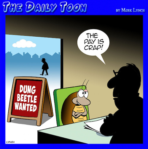 Dung beetles Dung beetles