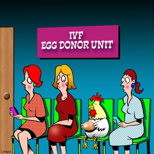 Egg donor Egg donor
