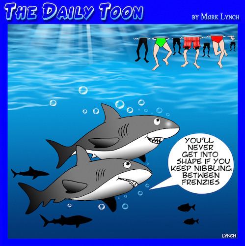 Feeding frenzy Feeding frenzy