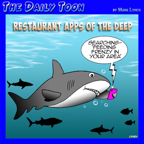 Feeding frenzy Feeding frenzy