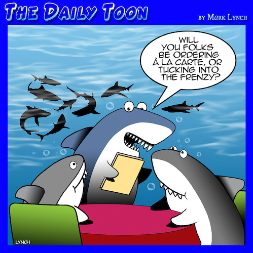 Feeding frenzy Feeding frenzy