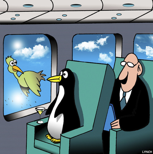 Cartoon: Flying penguin (medium) by toons tagged penguins,first,class,airlines,flying,penguins,first,class,airlines,flying