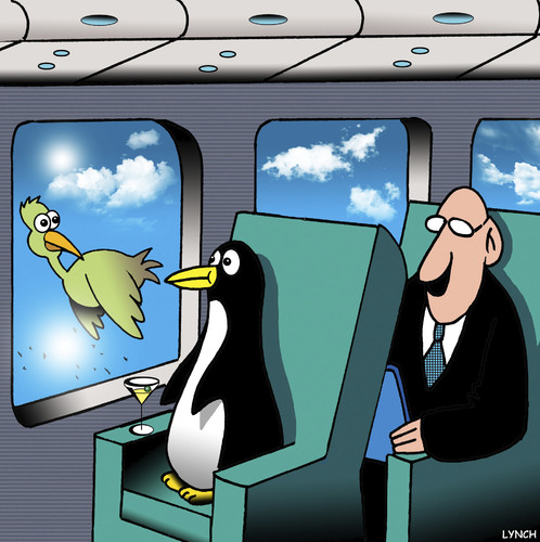 Cartoon: Flying penguin (medium) by toons tagged penguins,first,class,airlines,flying,penguins,first,class,airlines,flying