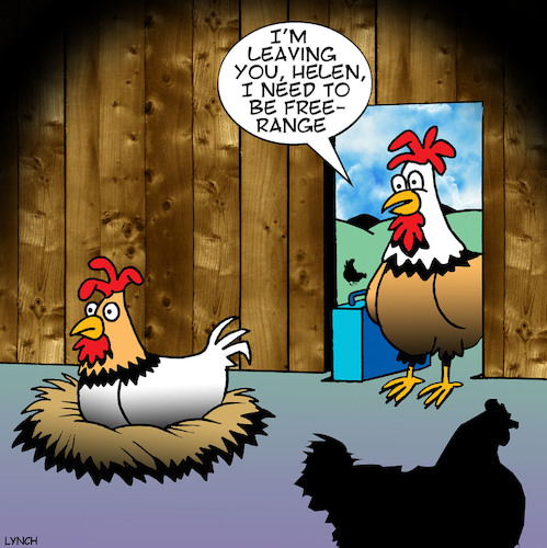 Cartoon: Free range (medium) by toons tagged chickens,chooks,animals,free,range,farmyard,hens,eggs,chickens,chooks,animals,free,range,farmyard,hens,eggs