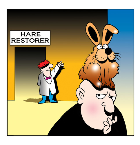 Cartoon: hare restorer (medium) by toons tagged hair,replacement,bald,wigs,restorer,piece,barber,hairdresser