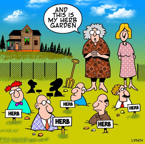 Cartoon: Herb garden (medium) by toons tagged herbs,spices,gardening,gardens,vegetables,cooking,farming,vegetable,garden,condiments