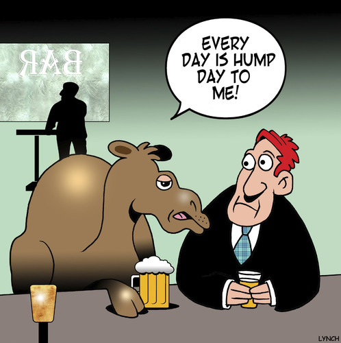 Cartoon: Hump day (medium) by toons tagged camels,hump,day,middle,of,the,we...