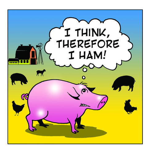 Cartoon: I Ham (medium) by toons tagged philosophy,pigs,ham,psychology,farms,farmyard,animals,bacon