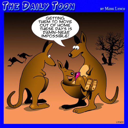 Kangaroos