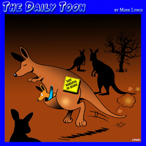 Marsupial Marsupial