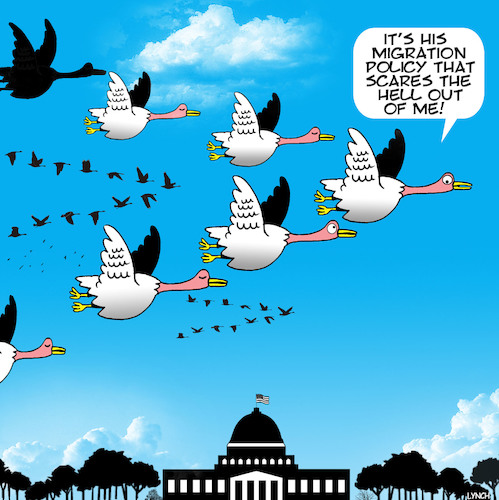 Migration policy Migration policy