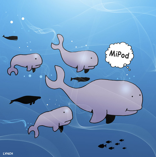 MiPod MiPod