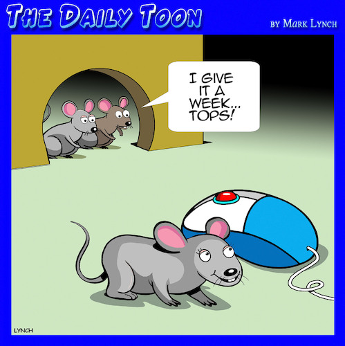 Mouse love Mouse love