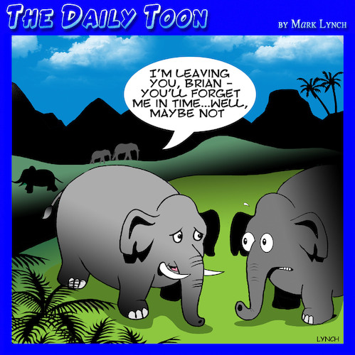 Cartoon: Never forgets (medium) by toons tagged elephants,forget,forgot,good,memory,elephants,forget,forgot,good,memory