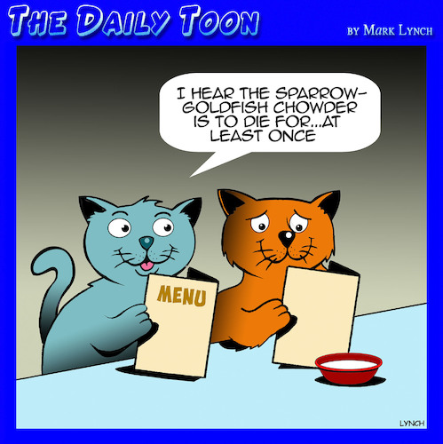 nine lives nine lives