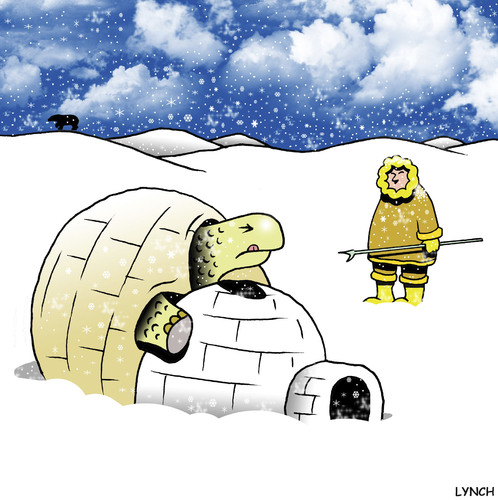 Cartoon: oops (medium) by toons tagged tortise,igloo,eskimo,turtle