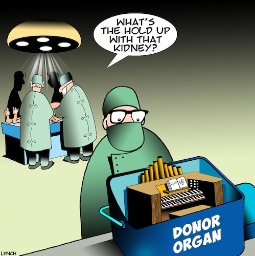 Organ donor