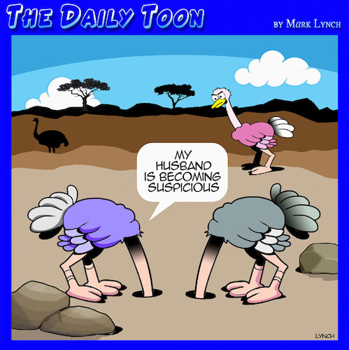 Ostriches Ostriches