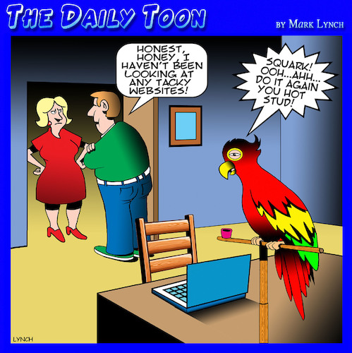 Parrot By toons | Love Cartoon | TOONPOOL
