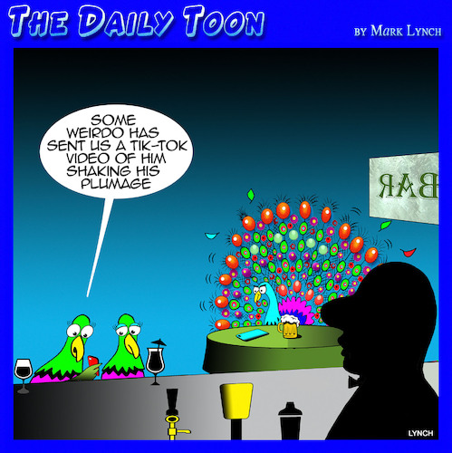 Cartoon: Peacock plumage (medium) by toons tagged dick,picks,pea,hens,peacocks,dick,picks,pea,hens,peacocks