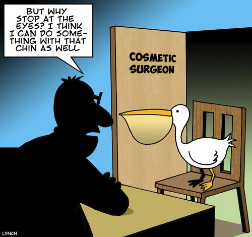 Cartoon: Pelican consultation (medium) by toons tagged pelicans,cosmetic,surgeon,double,chin,birds,animals,botox,plastic,doctor,consultation,pelicans,cosmetic,surgeon,double,chin,birds,animals,botox,plastic,doctor,consultation