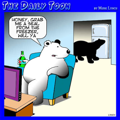 Polar bears Polar bears