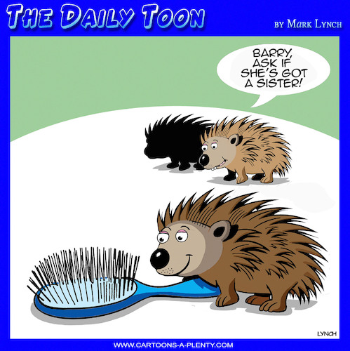 Porcupine love Porcupine love