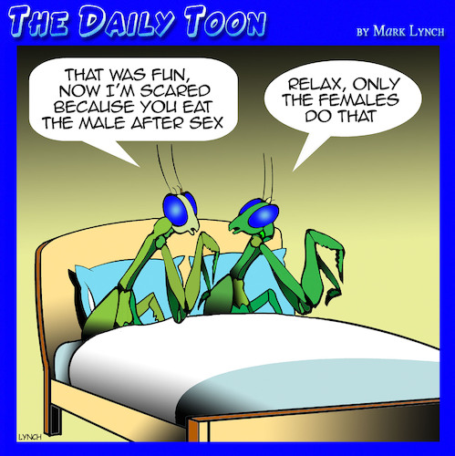 Cartoon: Praying Mantis (medium) by toons tagged mantis,insects,mantis,insects