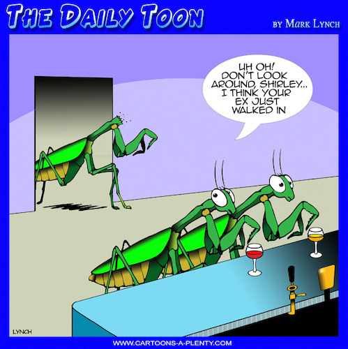 Cartoon: Praying Mantis (medium) by toons tagged ex,husband,boyfiend,ex,husband,boyfiend