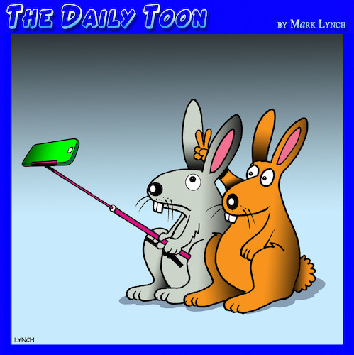 Rabbit ears Rabbit ears