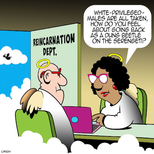 Cartoon: Reincarnation (medium) by toons tagged privileged,white,mail,reincarnated,heaven,angels,privileged,white,mail,reincarnated,heaven,angels
